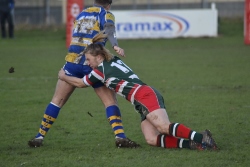 Dinnington Youll