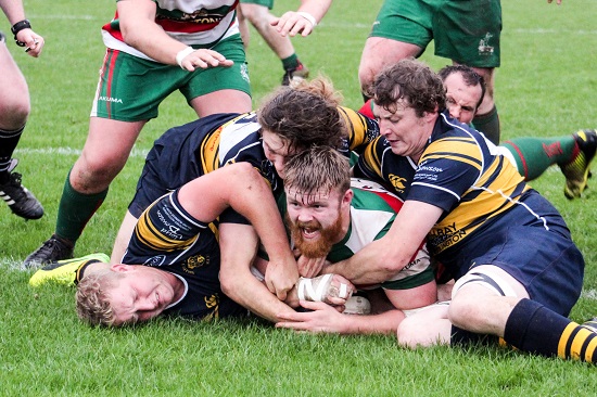 Turner No try Brid