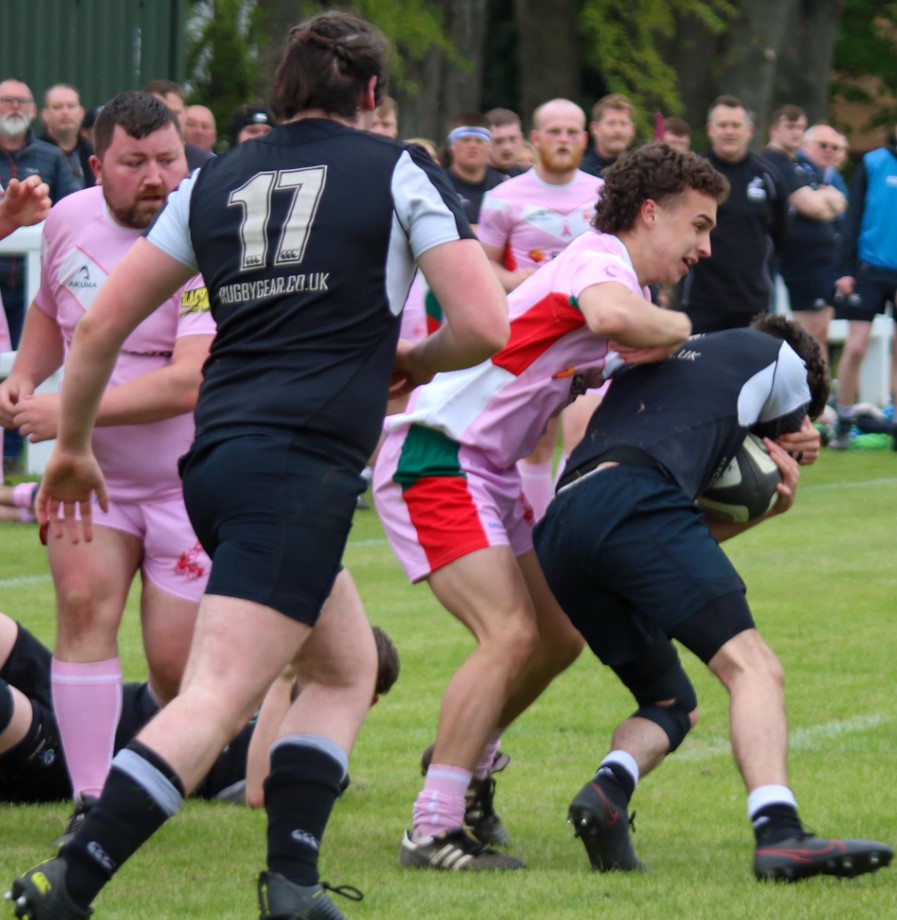 stags cup crowd