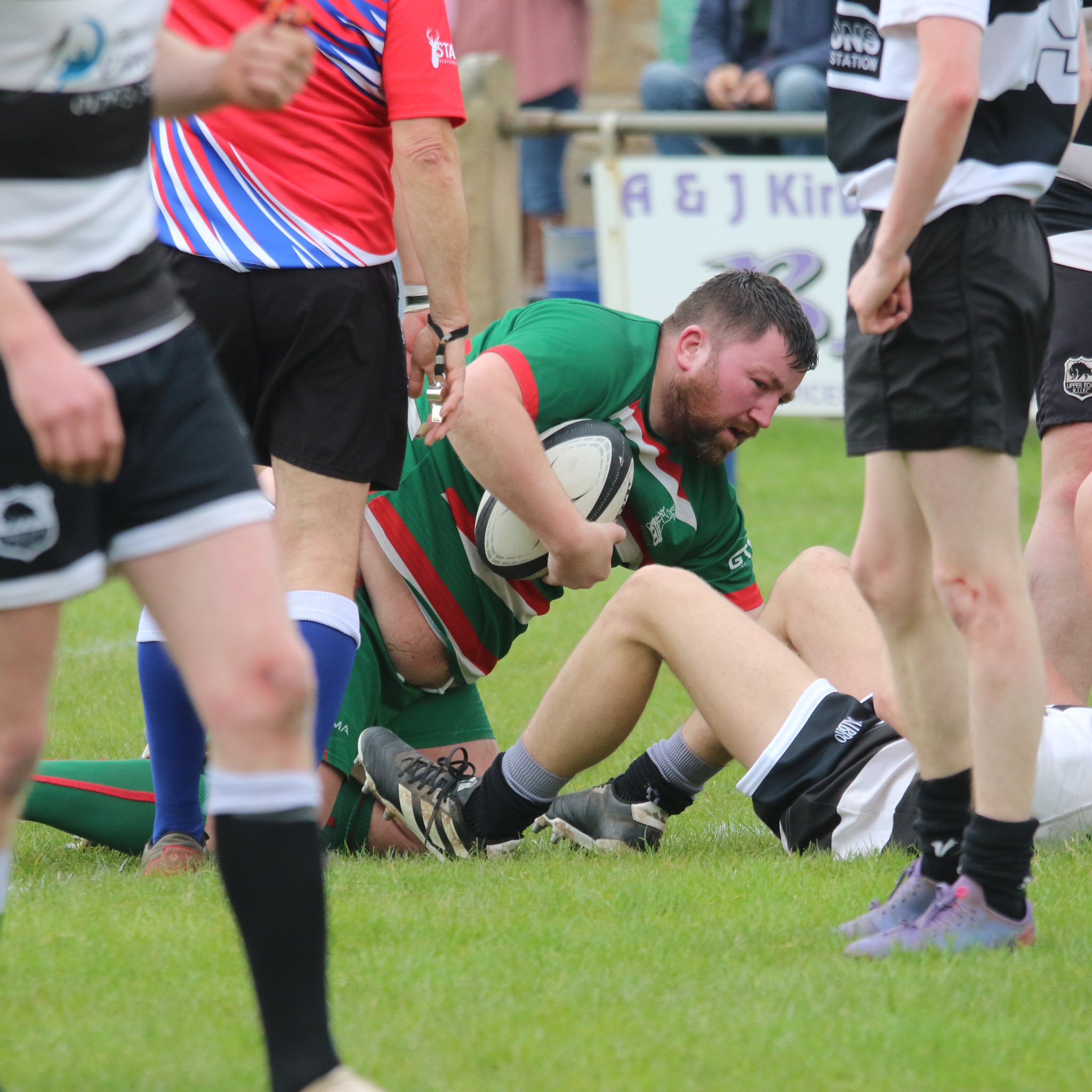AAA sTAgs Angus try