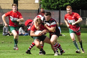 Stags Heughers