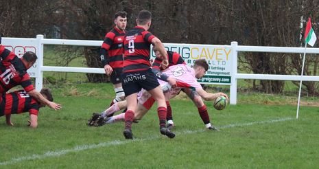 Aspatria Knight Try pink