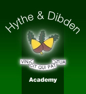 hythe academy