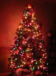 xmas tree.jpg xmas tree.jpg