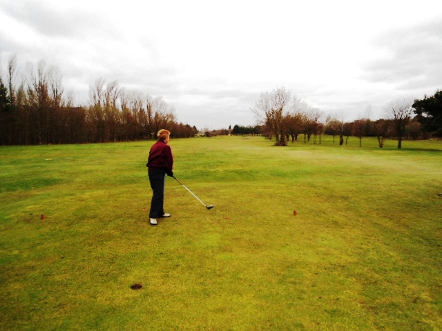 Lady Captain v Vice Captain 2013 1 Lady Captain v Vice Captain 2013 1