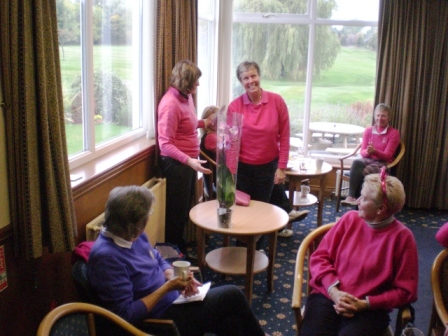 2015 Pink Day 13 2015 Pink Day 13