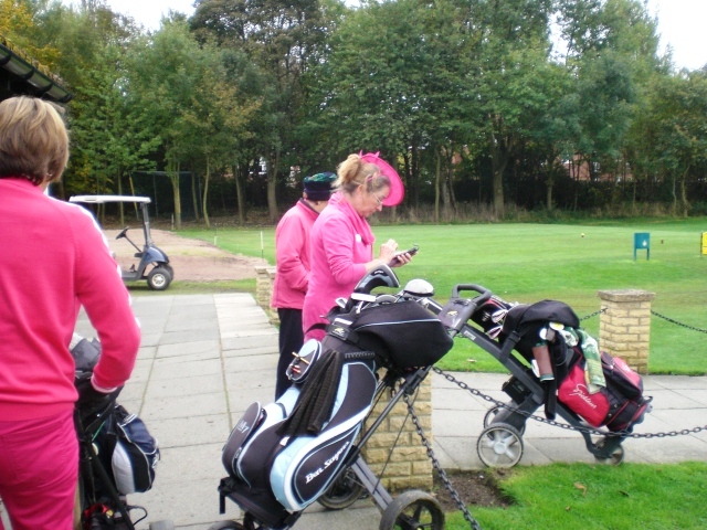 Ladies Pink Day 2013 2
