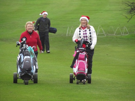 Christmas Mixed 2011 3