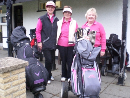 2015 Pink Day 3 2015 Pink Day 3