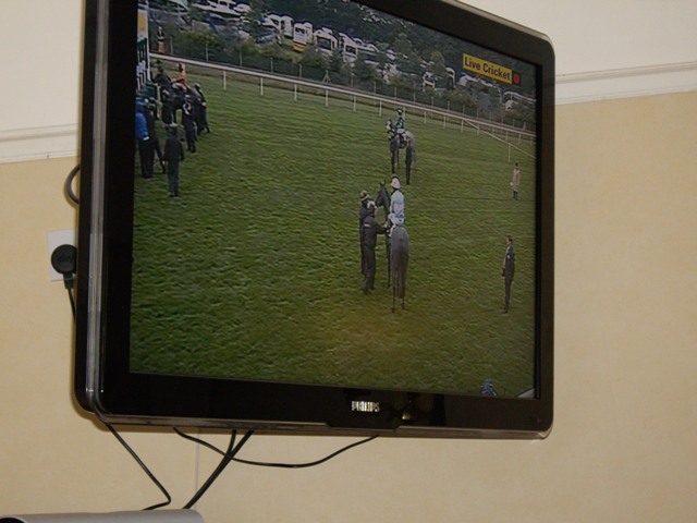 Ascot at the City 2011 -16