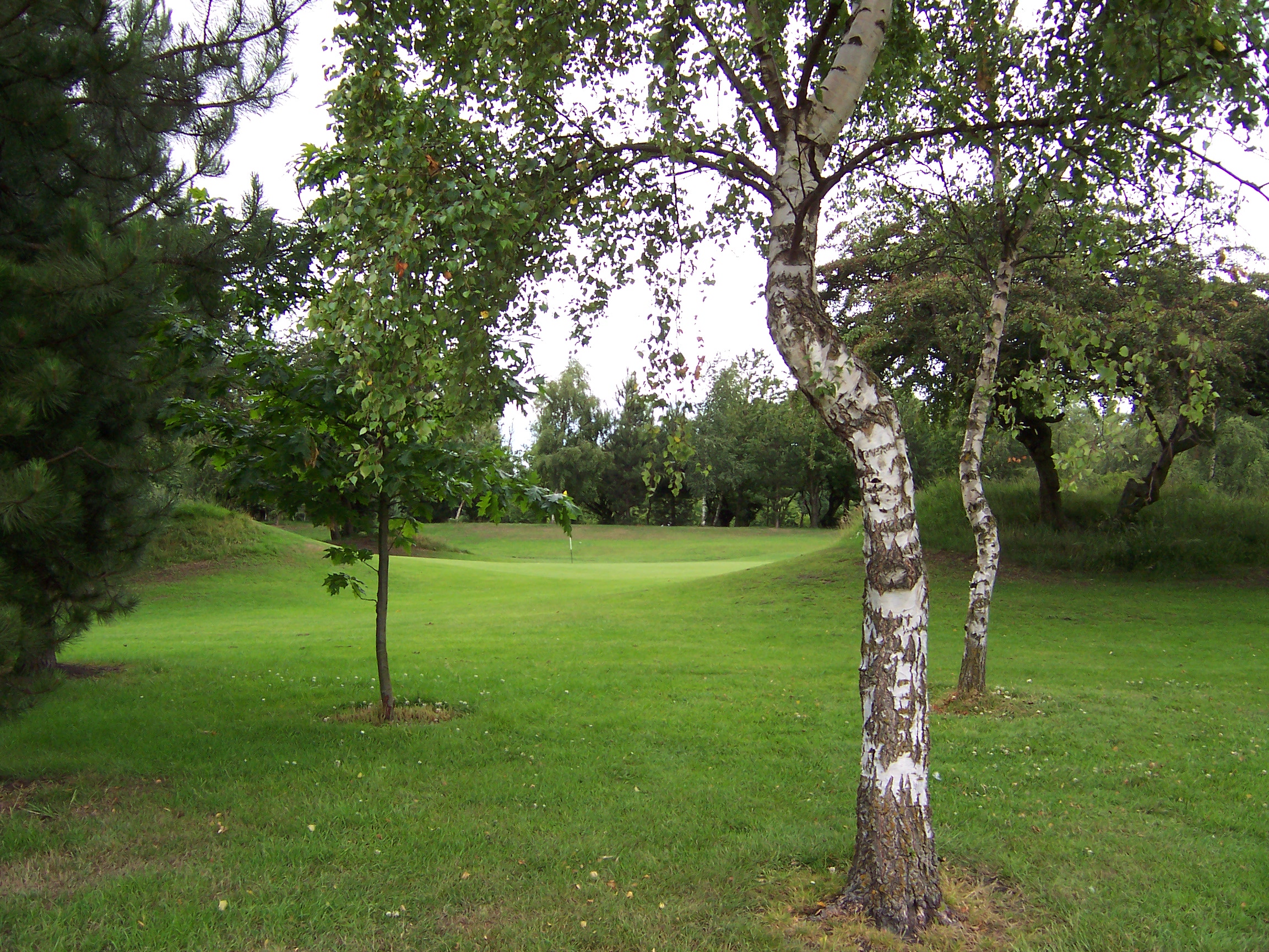 16th green from 10th Fairway
